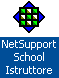 NetSupport 10