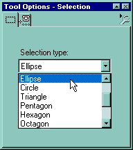 Opzioni dello strumento Selection